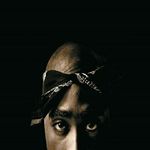 maurice solid vice lord - @mauricesolidv - Instagram