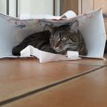 M.Master - @mauricemaier2005 - Instagram