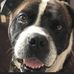 Morris McCain - Facebook