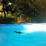 Jean-maurice Moreau - @moreaujeanmaurice - Instagram