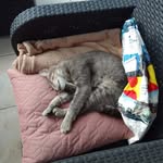 Moreau Maurice - @moreau.maurice.98 - Instagram