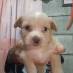 Maurilio Ramírez - Facebook