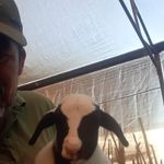 Maurilio Ramirez de Aguilar - @maurilioramirezqui - Instagram