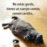 Maurilio Ramirez Garcia - @maurilioramirezgarcia - Instagram
