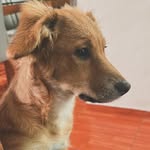 Mauro Binda - @mauro_binda_ - Instagram