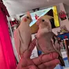 maurolazcano92 - @maurolazcano92 - TikTok