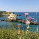 Mauro Mele - @mauro75.s - Instagram