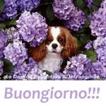Mauro Rizzi - @rizzi7323 - Instagram