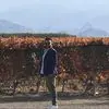 Rizzi Mauro - @rizzi.mauro4 - TikTok