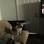 Maury Clark - @clark.maury - Instagram