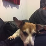 Maury Clark - @maury.clark - Instagram