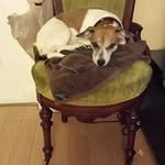 Maury Clark - @clarkmaury - Instagram