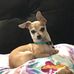 Maury Gil - Facebook