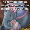 Maury Herrera - @maury.herrera - TikTok
