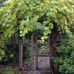 Maury Hill Farm Enterprises - Facebook