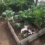 Point Robinson Farmstand - @mauryhillfarm - Instagram