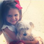 Maury Johnson, Wonder Dog! 🐶 - @maury_johnson - Instagram
