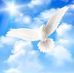Maury Lopez - Facebook