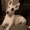 Béatrice Maury BarboudesPlaces - @batrice.maury.bar - TikTok
