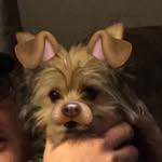 mav - @maverick___brown - Instagram
