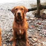 Maverick - @maverick_brown - Instagram