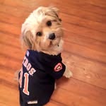 Maverick Brown - @mavmavbrown - Instagram