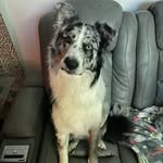 Maverick Brown - @mav_onthemove - Instagram