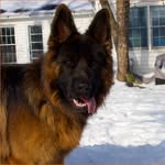 Maverick Brown Von Hughston - @maverickgsd_txoh - Instagram