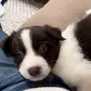 maverickbrown24 - @maverickbrown24 - TikTok