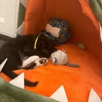 Maverick Green - @maverick_thebrave.412 - Instagram