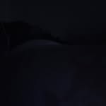 Maverick Green - @maverickgreen9 - Instagram