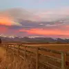 Maverick - @maverick.johnson88 - TikTok