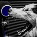 Maverick Murphy - @maverick_panda_murphy - Instagram