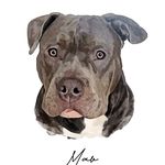 Maverick Murphy - @mav_murphy_ - Instagram