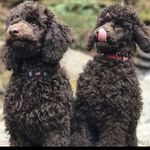 M&M - @maverick_murphy_ - Instagram