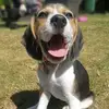 BaileyMavis7 - @baileymavis7 - TikTok
