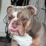 Mavis Bell - @mavis_belle - Instagram