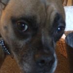 Mavis - @mavis.knows.best - Instagram