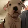 Mavisthebest - @theyadore.maverick - TikTok