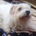 Mavis Blake - Facebook