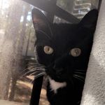 Mavis - @mavis_blake17 - Instagram