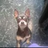Mavis Carter - @mavis.carter5 - TikTok