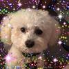 Mavis Cartwright - @maviscartwright - TikTok