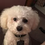 Mavis Cartwright - @mavis.cartwright.963 - Instagram