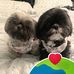 Mavis Cartwright - Facebook