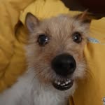 Blodwyn Mavis Davies Collins - @blodwyndaviescollins - Instagram