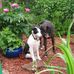 Mavis Craig - Facebook