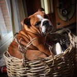 Mavis❤️ - @_mavis_davies_ - Instagram