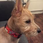 Mavis Avis Dyer-Davies - @mavisavis_bt - Instagram