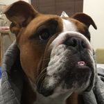 @_mavis_davis - Instagram